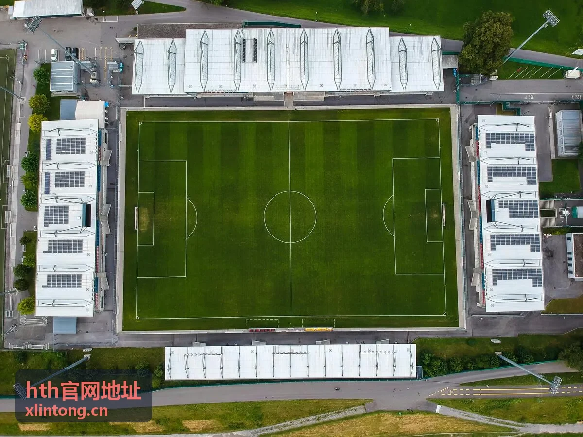 hth官网地址访问入口指南服务封面
